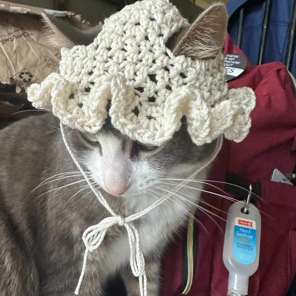 crochet hat for cat